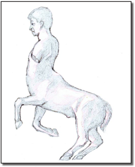 centaurfigure8
