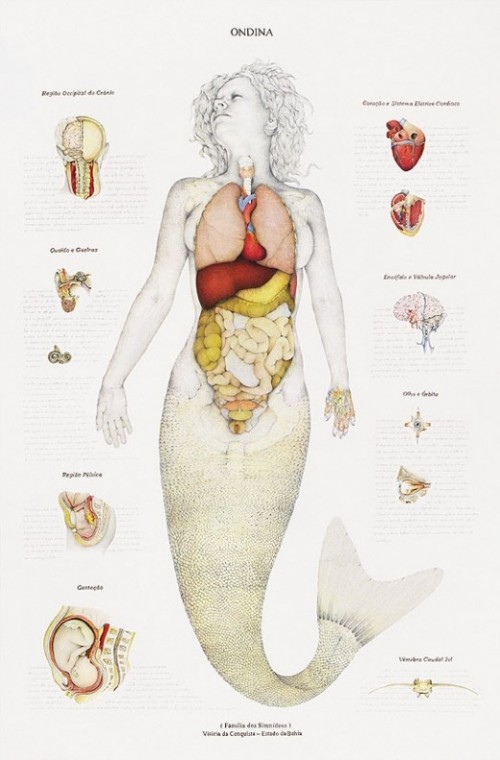 mermaid