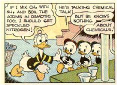 234DDuck