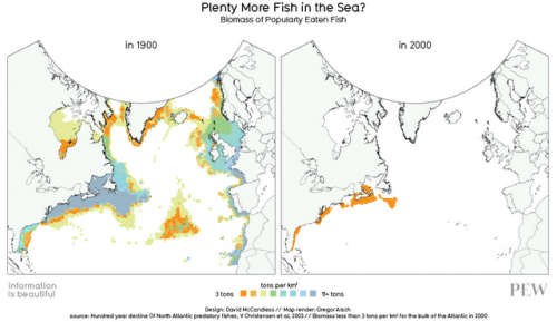 Atlantic fish biomass