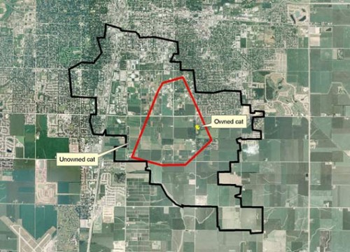 cat-track-map