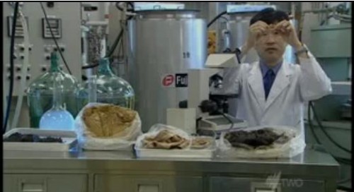 japanesescientists