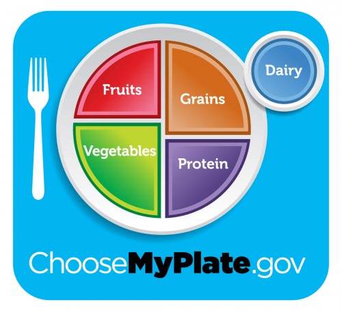 usda food pyramid 2011. The USDA food pyramid was