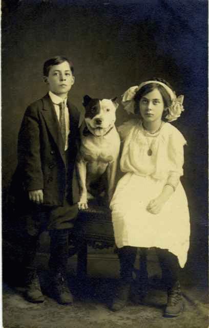 pit-bull-and-kids