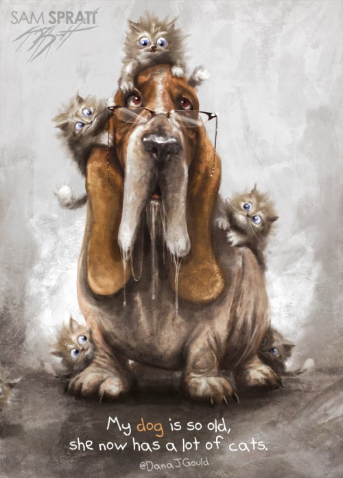 sam_spratt_dog_cat_danajgould