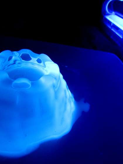 GT-Jelly