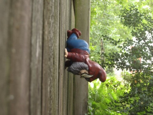SPIDEY