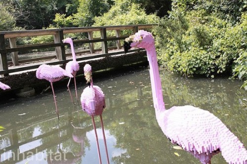 Wildlife-Made-With-Lego-2-550x366