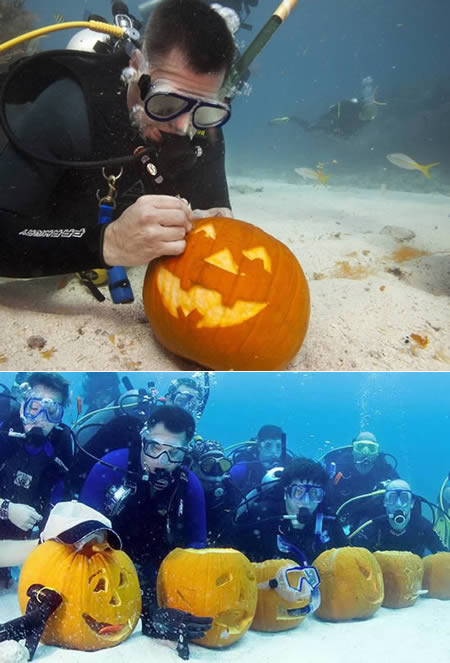 a97828_g293_1-pumpking-carving