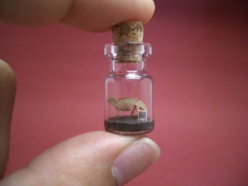 bottle-20110711-135101