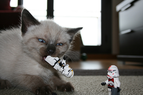 clonewars