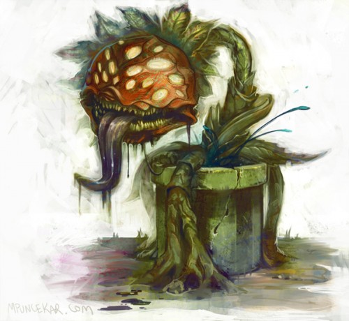 plant