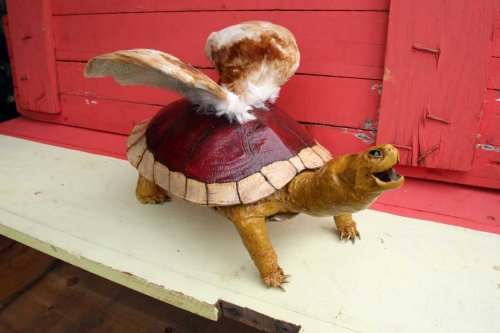 real-koopa-trophy-darick_maasen