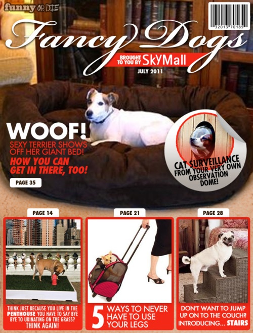 skymall-dogs-20110708-164308