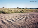 washboard road