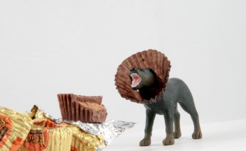 18_heuerreesesdog850-600x369
