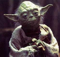 250yoda