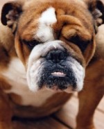 buster