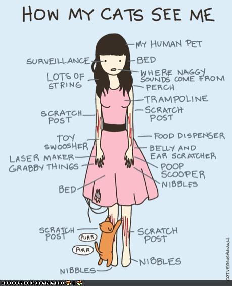 funny-pictures-kitteh-komic-ob-teh-day-how-cats-see-humans