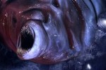 monsterboss