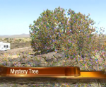 mysterytree