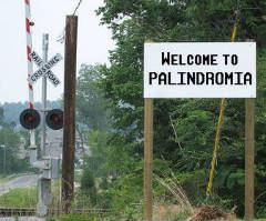 240Palindromia