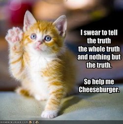 250_oathkitten