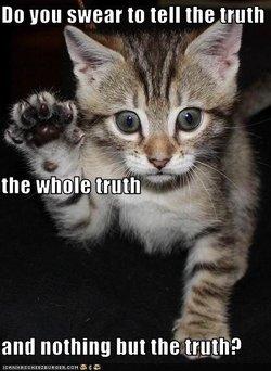 250_oathkittentitle