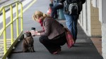 290773-graeme-and-commuter