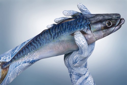 Guido-Daniele-Handimals-2