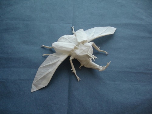 beetle-1
