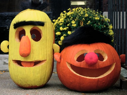 bert_ernie_pumpkins