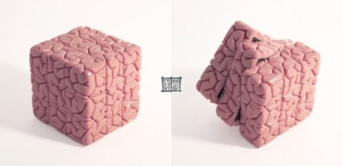 brain