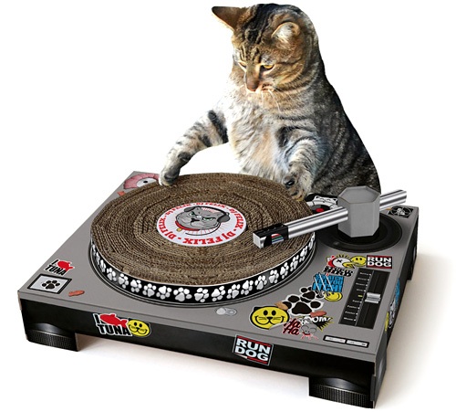 cat-turntable-20110927-103305
