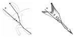 constellation_fig_3_P1_opt