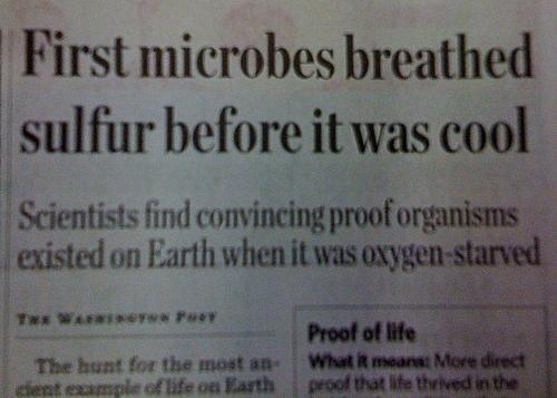 hipster-microbes-3751-1314628913-1