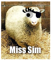 misssim1eye