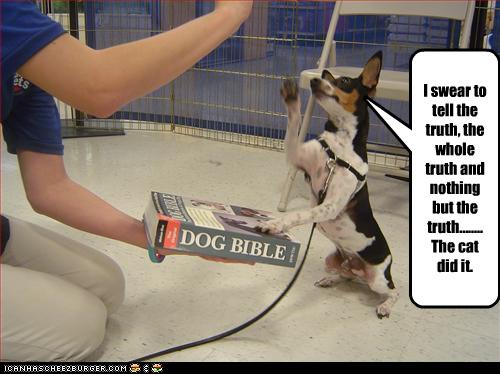 oathdog