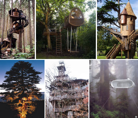treehouses-main