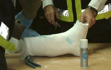 230_cocaine_cast