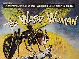 260waspwoman