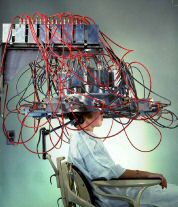 44antimatter-pet
