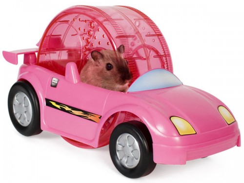 Hamster-Racer-Set