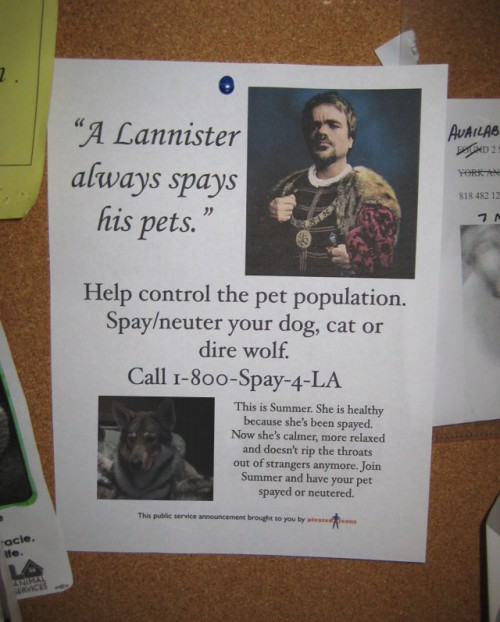 Lannister-Always-Spays-His-Pets