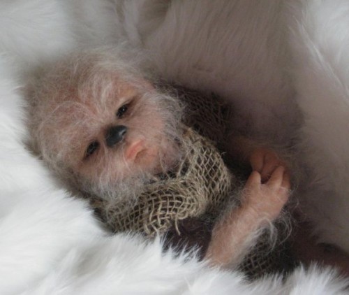 baby-wookie