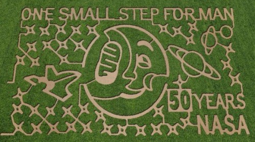 corn-maze-4-dewberry-580x322