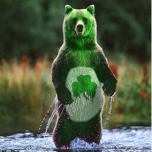 care bears green bear