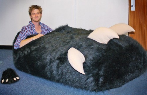 giantslipper-550x357