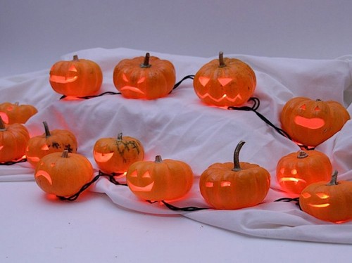 minipumpkinarmy