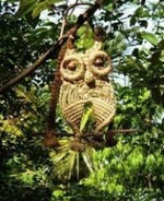 owl__4_in_garden_260w